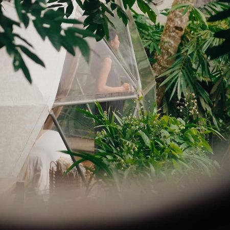 Lintang Luku Tent Resort Ijen, Banyuwangi บันยูวังงี ภายนอก รูปภาพ