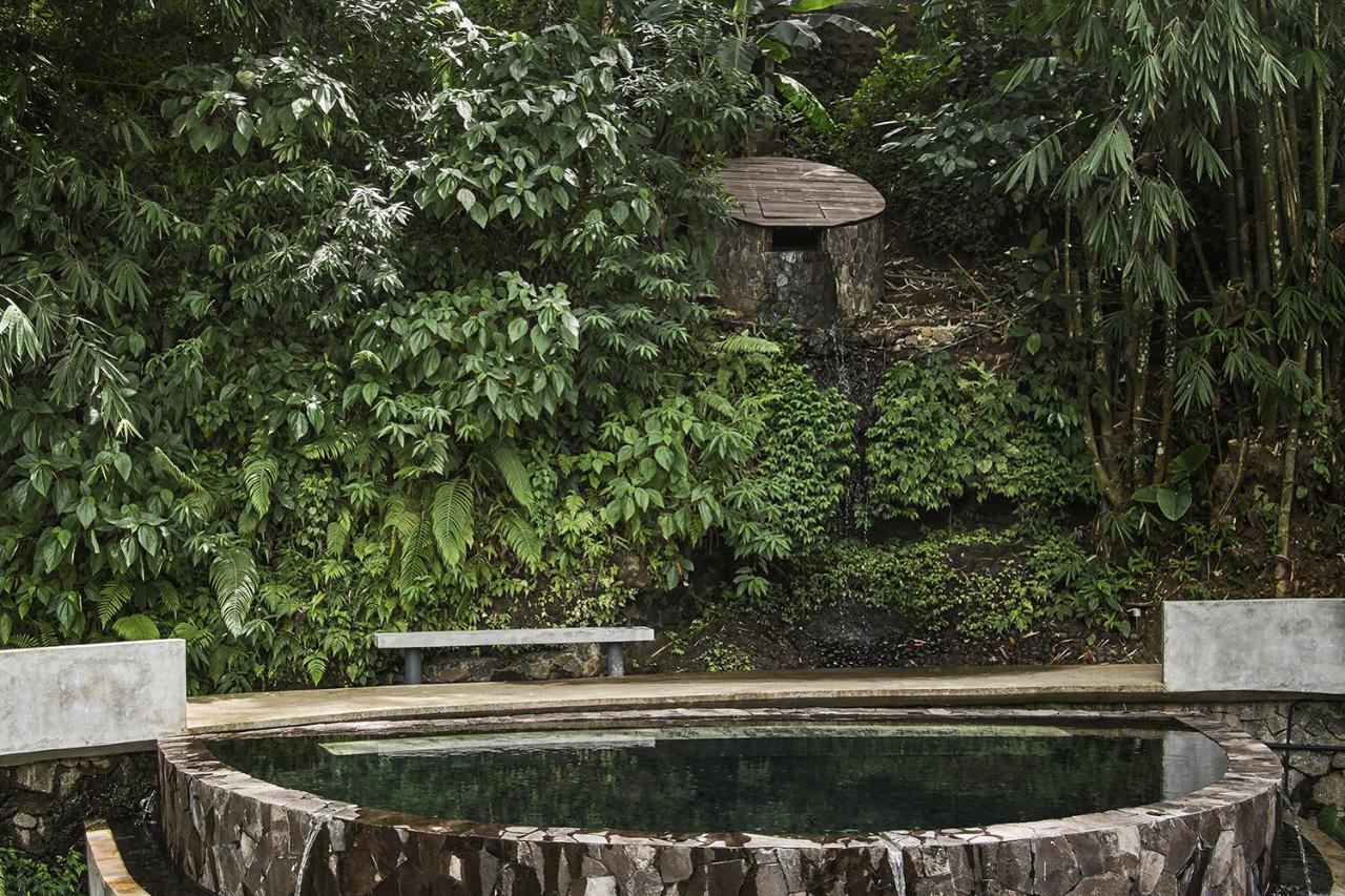 Lintang Luku Tent Resort Ijen, Banyuwangi บันยูวังงี ภายนอก รูปภาพ