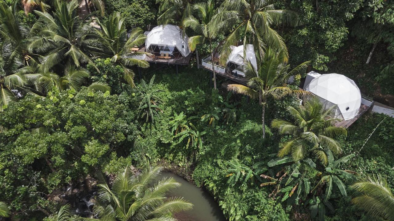 Lintang Luku Tent Resort Ijen, Banyuwangi บันยูวังงี ภายนอก รูปภาพ