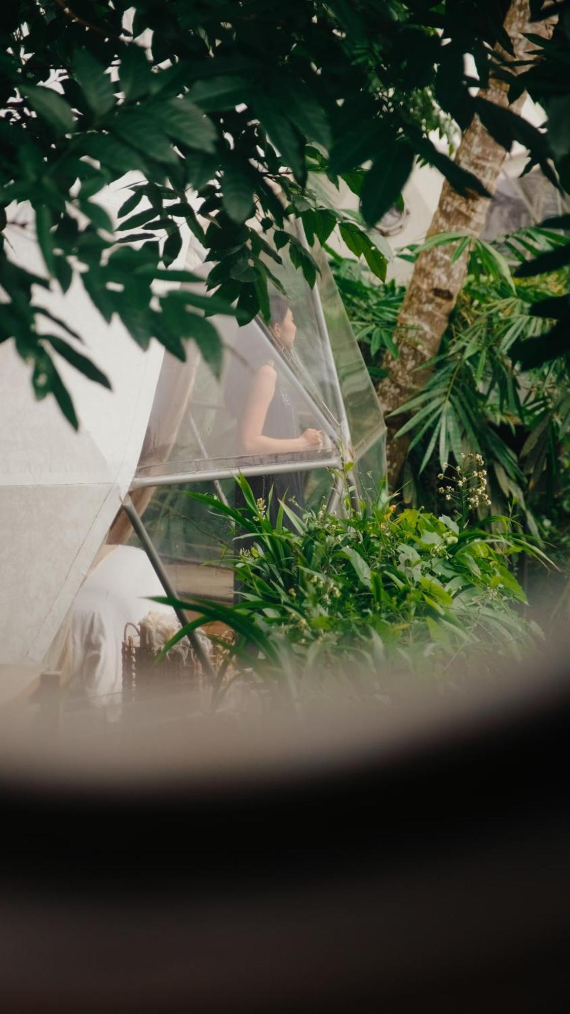 Lintang Luku Tent Resort Ijen, Banyuwangi บันยูวังงี ภายนอก รูปภาพ